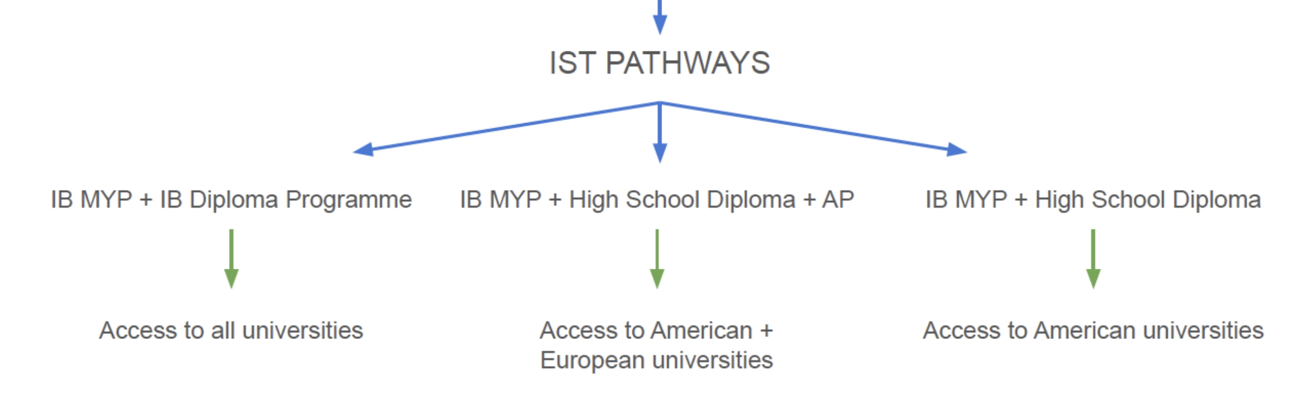 Diagramma che presenta i possibili percorsi e accessi a facoltà universitarie internazionali del programma IB all’IST