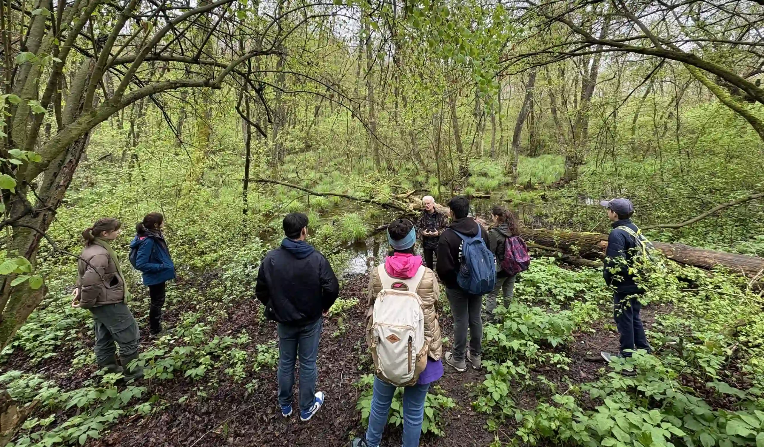 Gli studenti soci dell’eco club scolastico di IST si trovano in una radura di un bosco di latifoglie e partecipano a una lezione sul campo tenuta da un naturalista